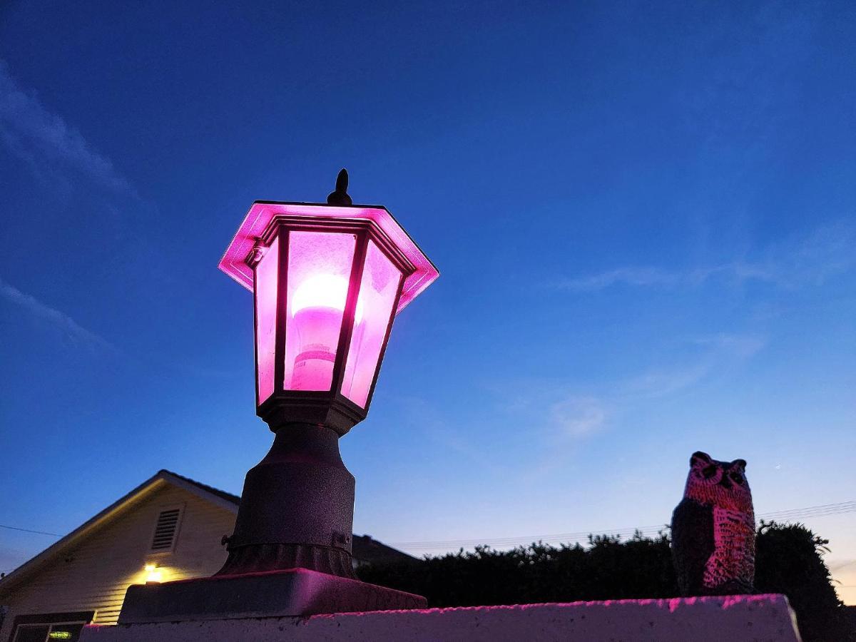 Saint Boniface Hotel Indio Dış mekan fotoğraf